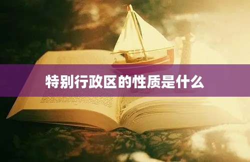 特别行政区的性质是什么