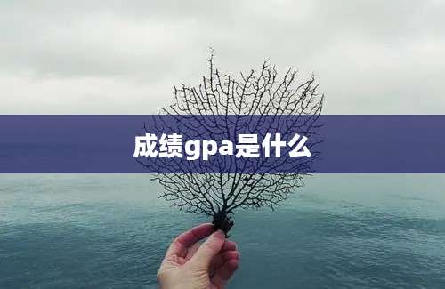 成绩gpa是什么