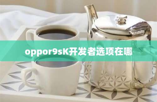 oppor9sK开发者选项在哪