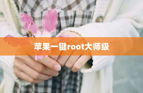 苹果一键root大师级