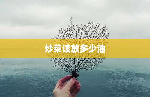 炒菜该放多少油