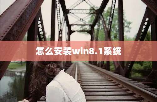 怎么安装win8.1系统