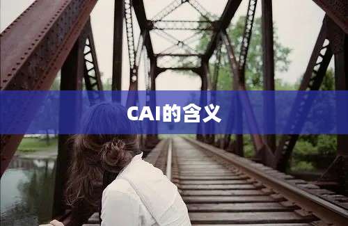 CAI的含义