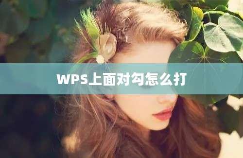 WPS上面对勾怎么打