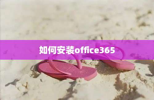 如何安装office365