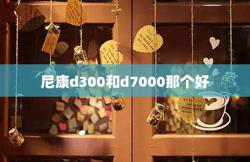 尼康d300和d7000那个好