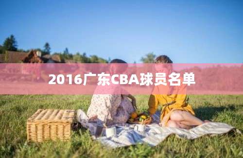 2016广东CBA球员名单