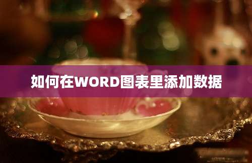 如何在WORD图表里添加数据