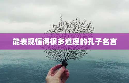 能表现懂得很多道理的孔子名言