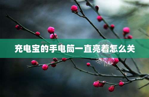 充电宝的手电筒一直亮着怎么关