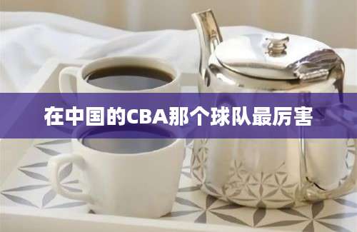 在中国的CBA那个球队最厉害