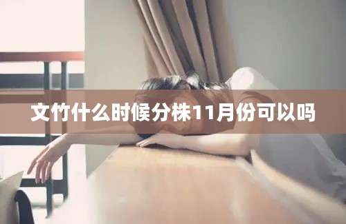 文竹什么时候分株11月份可以吗