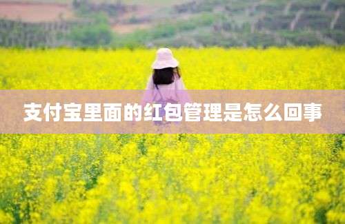 支付宝里面的红包管理是怎么回事