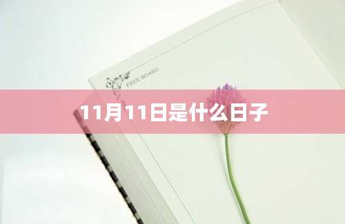 11月11日是什么日子