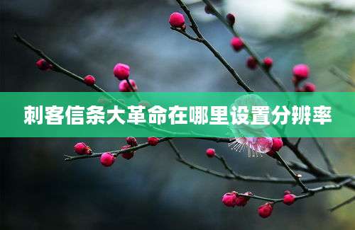 刺客信条大革命在哪里设置分辨率