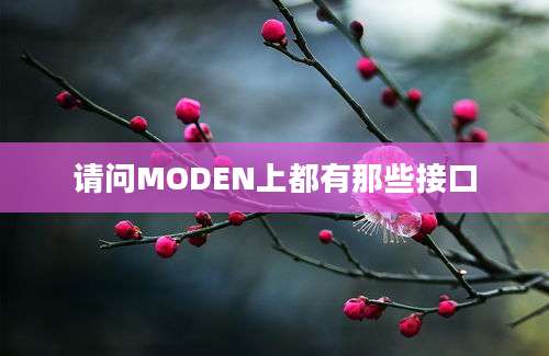 请问MODEN上都有那些接口