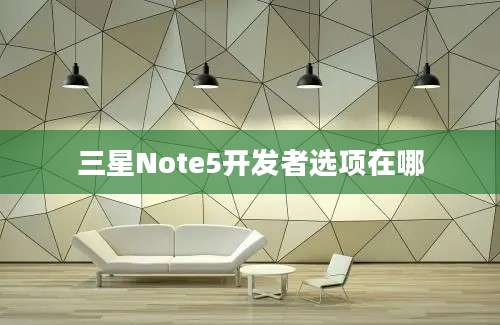 三星Note5开发者选项在哪