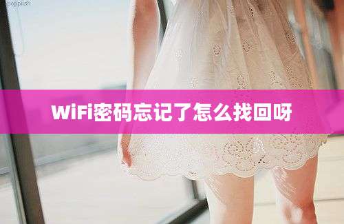 WiFi密码忘记了怎么找回呀