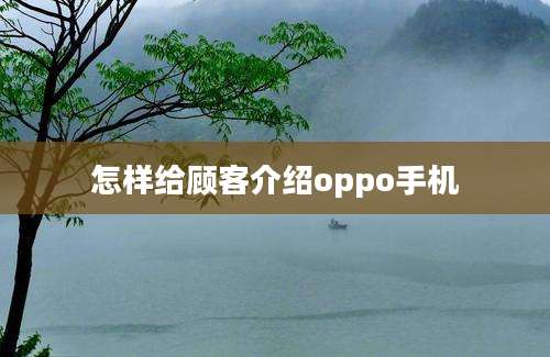 怎样给顾客介绍oppo手机