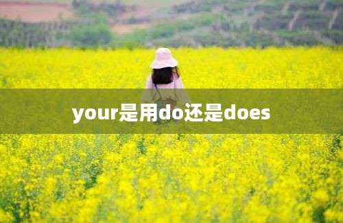 your是用do还是does