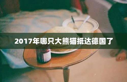 2017年哪只大熊猫抵达德国了