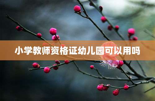 小学教师资格证幼儿园可以用吗