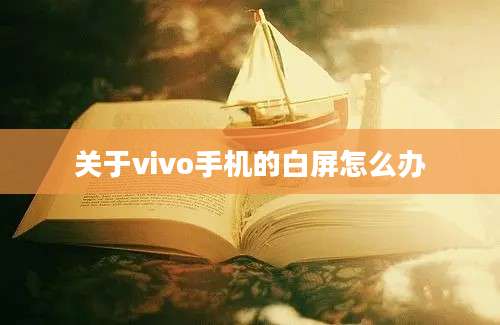 关于vivo手机的白屏怎么办