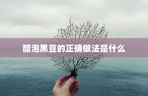 醋泡黑豆的正确做法是什么