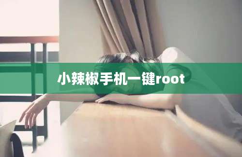 小辣椒手机一键root