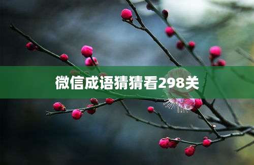 微信成语猜猜看298关