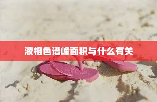 液相色谱峰面积与什么有关