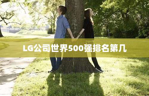 LG公司世界500强排名第几