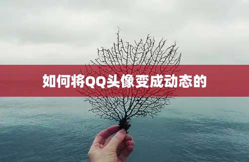 如何将QQ头像变成动态的