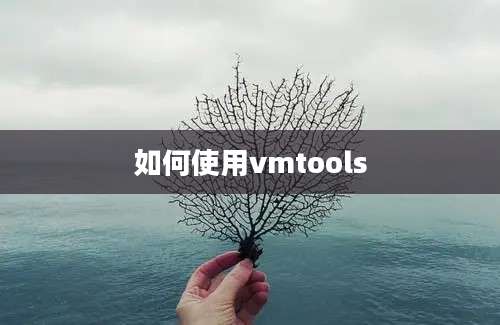 如何使用vmtools