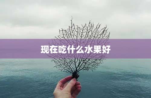 现在吃什么水果好