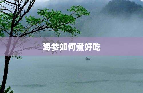 海参如何煮好吃