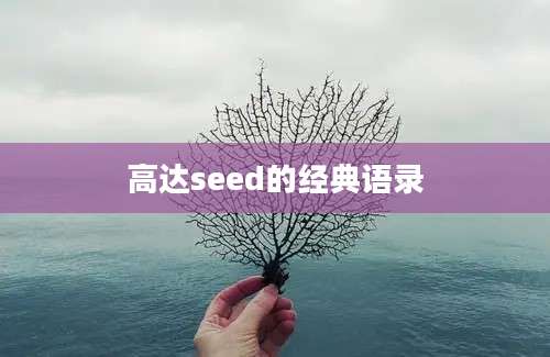 高达seed的经典语录