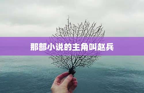 那部小说的主角叫赵兵