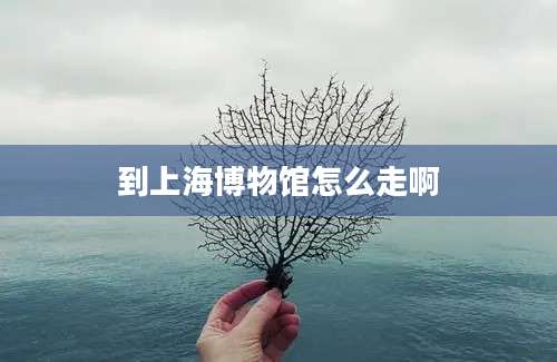 到上海博物馆怎么走啊