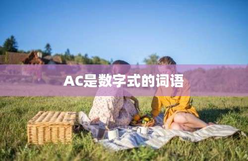 AC是数字式的词语