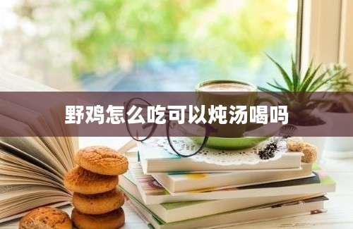 野鸡怎么吃可以炖汤喝吗