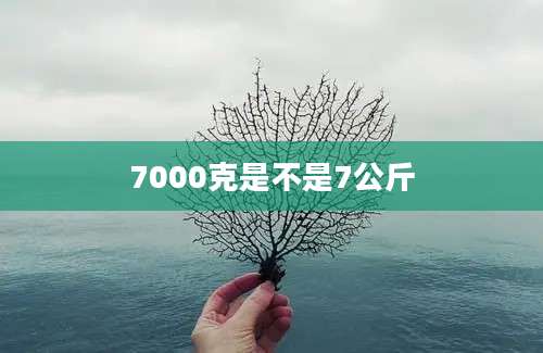 7000克是不是7公斤