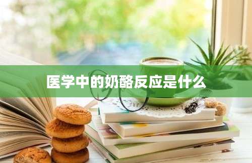 医学中的奶酪反应是什么