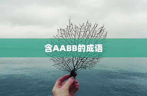 含AABB的成语