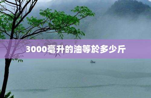 3000毫升的油等於多少斤