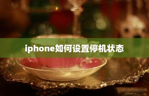 iphone如何设置停机状态