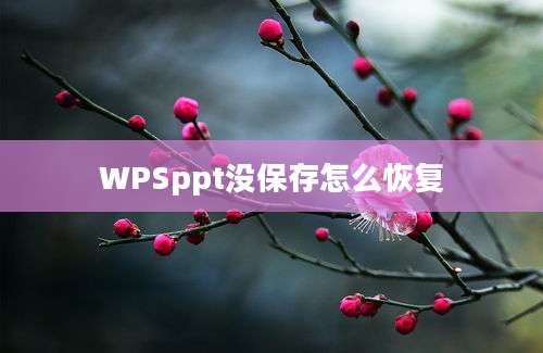 WPSppt没保存怎么恢复