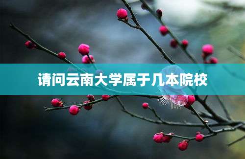 请问云南大学属于几本院校