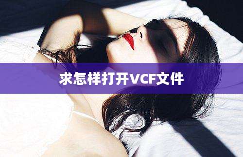 求怎样打开VCF文件