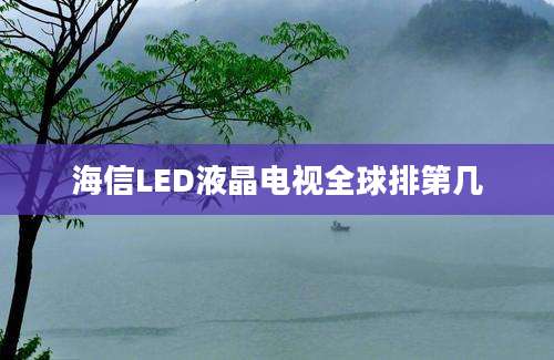 海信LED液晶电视全球排第几